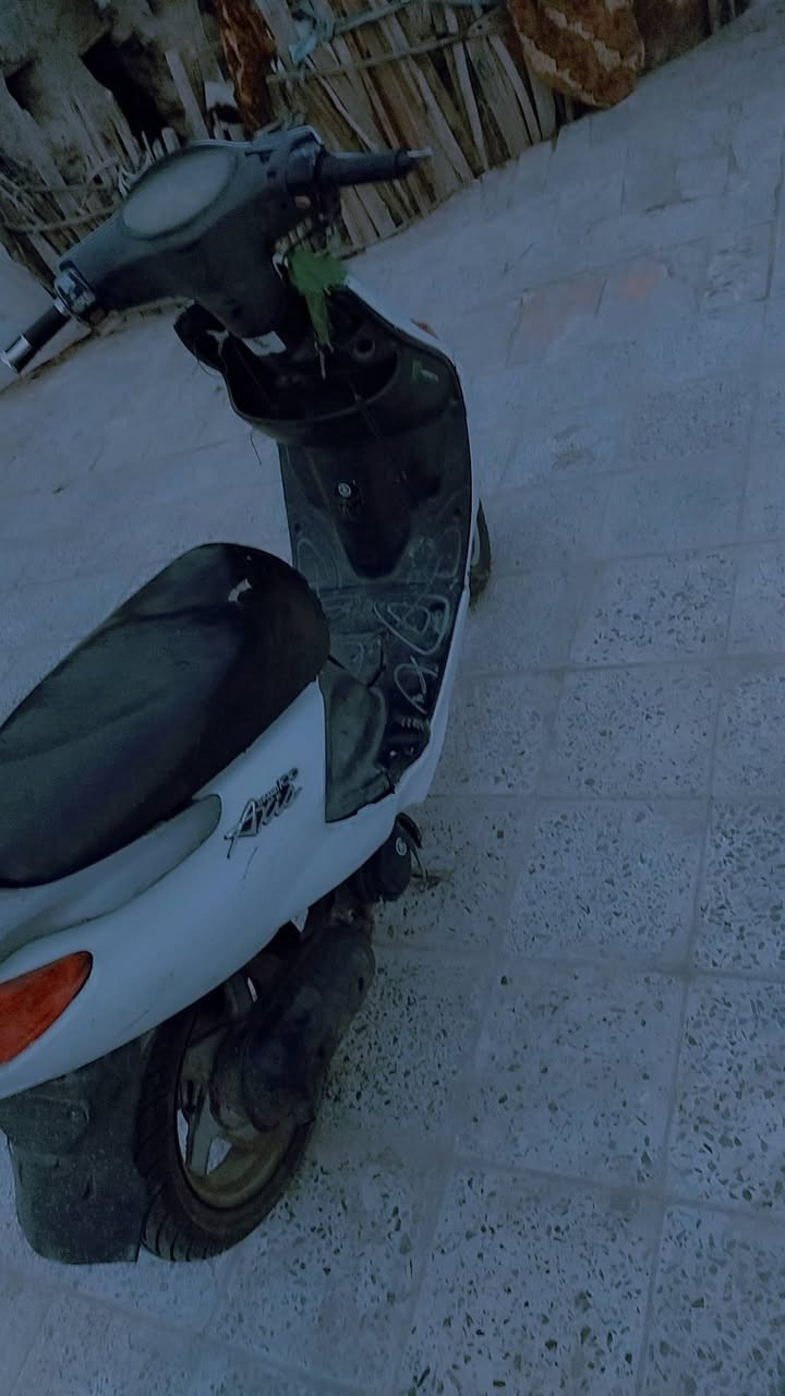 دولفيل للبيع والشعر خاص والمكان رميثه ورقم جهازي  ***********
