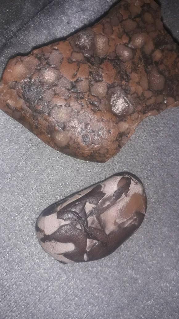 للبيع


**إذا كنت صاحب هذا الإعلان وتريد حذفه لأي سبب، رجاءا أرسل رسالة إلى الدعم الفني**