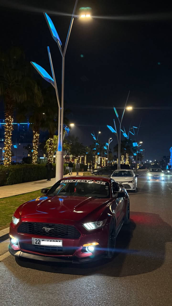 موستنك 2016♥️♥️
ماشيه 106mi

سياره جاهزه وكامله من كلشي 

فول كماليات ميحتاج اذكرهم لان كله كدام العين

ويل 18

سياره 3قطع صبغ بدون شواصي بدون دواخل

جاهزه للاخير السياره ♥️

للمراوس فقط فقط مراوس 

مكان السياره كركوك 

***********
