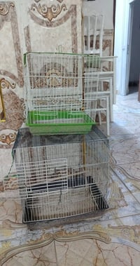 ميسان • ثلاجه كبيرة • سرير نفرين