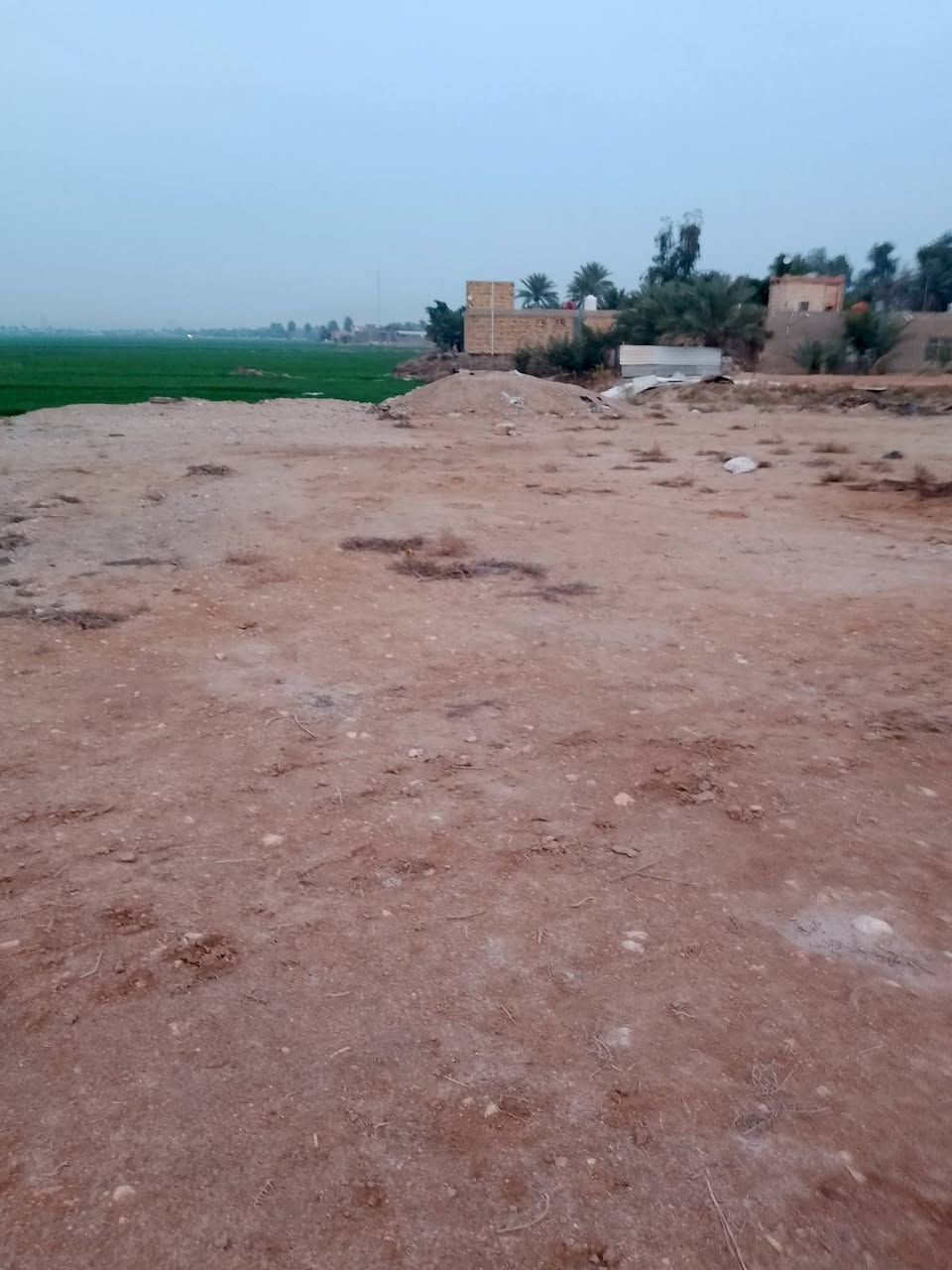 سلام عليكم.....
ارض زراعية للبيع المساحه 6 آلة ربع  بيها عرصة مدفونه دونم المكان   النجف ناحية الحرية للاستفسار الاتصال 
***********
