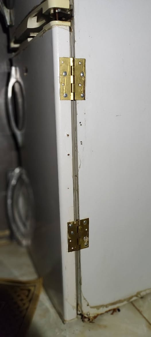 سلام عليكم 
غراض بيت نظيفه  بيع مستعجل 
طباخ فرش مصري خمس عيون وفرن شغال كله فوك وتحت كامل نظيف اي ضرر مابيه 

ثلاجه حجم١٦ قدم شغاله تجميد فول بس بابها مشلوع ومركبينه بنرماده ، 

ثلاجه حجم١٦ قدم نظيفه كلش وشغاله كلها تجميد فول وتبريد ما مصلحه ولا بيها ضرر 
مكان كربلاء باب بغداد


**إذا كنت صاحب هذا الإعلان وتريد حذفه لأي سبب، رجاءا أرسل رسالة إلى الدعم الفني**