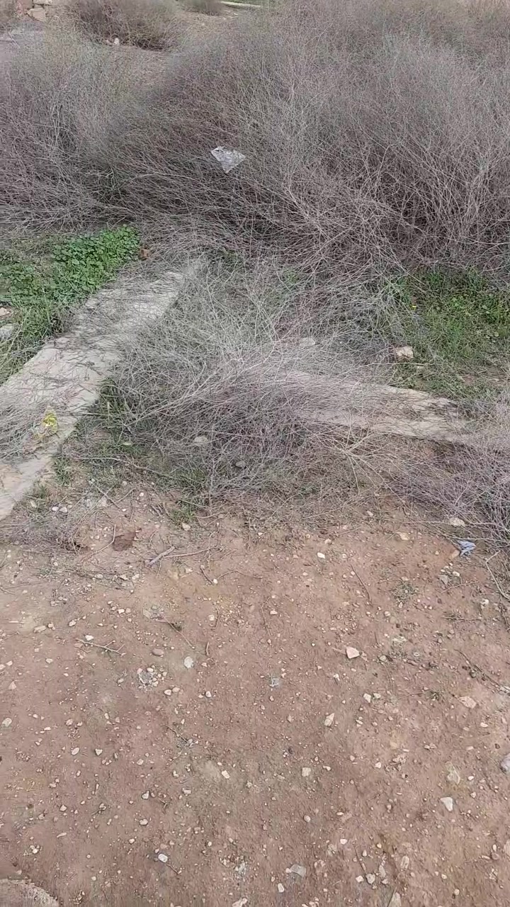 قطعه بناء للبيع المساحه اكثر من ٤٥٠ متر مربع المكان العبيدي القديم واصلها شارع تبليط وكهرباء وماء للتواصل والاستفسار على تلفون 0783.348.3393 مع تحياتي


**إذا كنت صاحب هذا الإعلان وتريد حذفه لأي سبب، رجاءا أرسل رسالة إلى الدعم الفني**