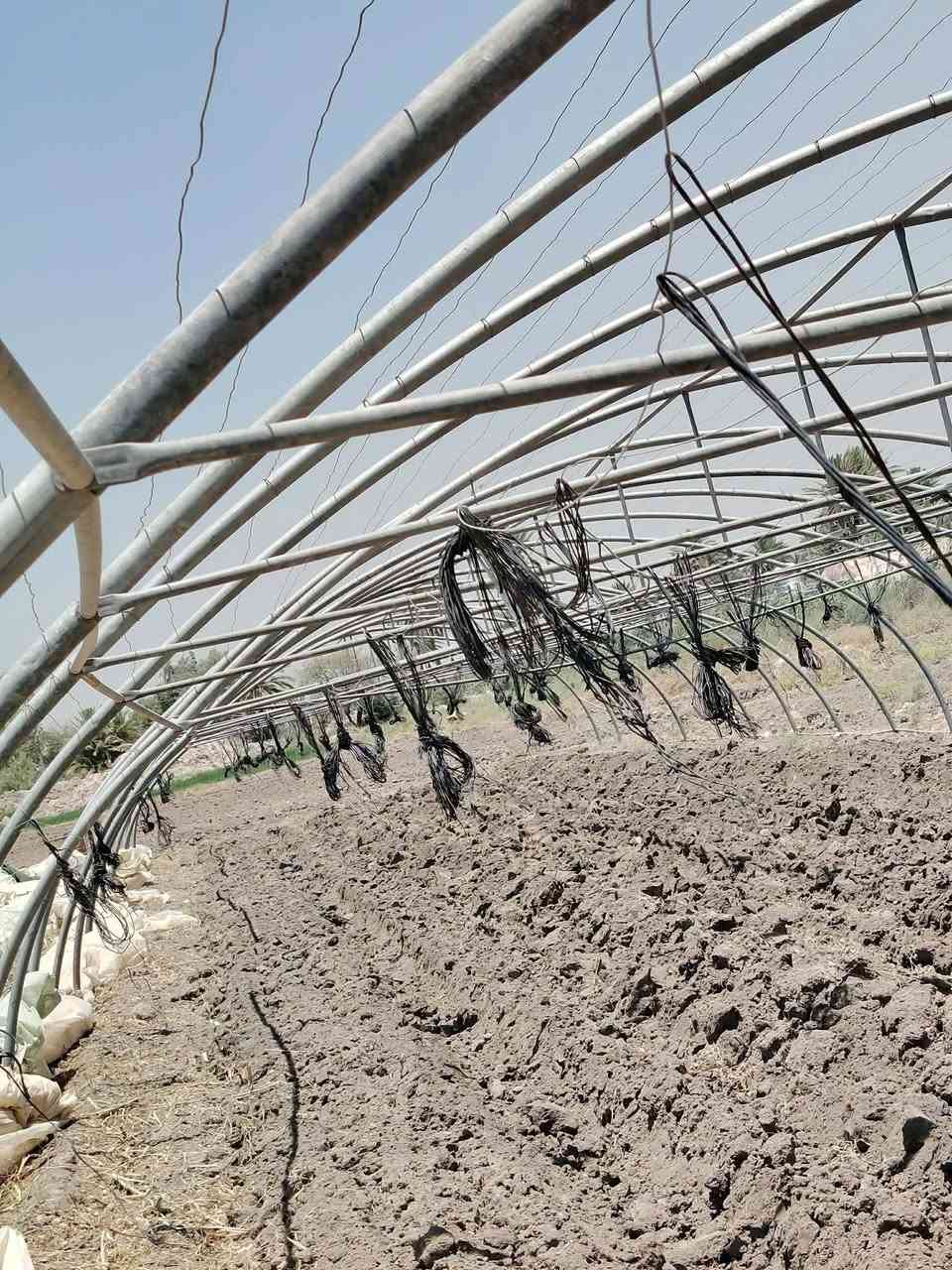 2 بيوت زجاجي اردني عبار ٢١ قوس لايلون نص عمر حديد نظيف كلش مع كامل ملحقات
سعرهن 5500 بابل جبله اي ستفسار على رقم ***********
