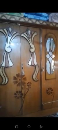 كنتور عراقي • 5بيبان • خور الزبير