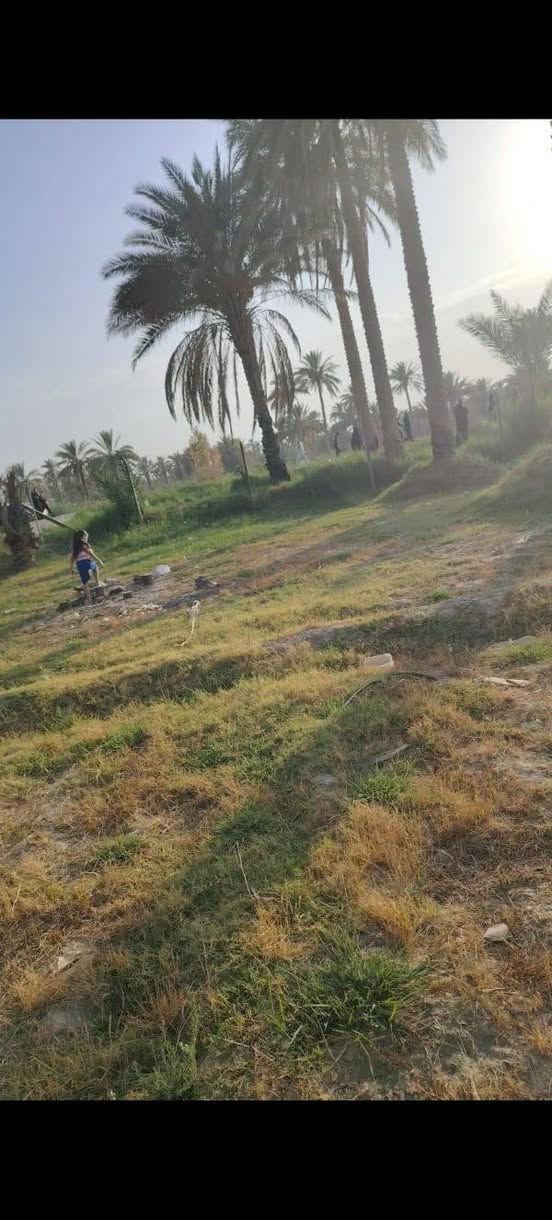🌴 إعلان قطعة أرض زراعية للبيع – فرصة مميزة

📍 الموقع: أبي غرق – قرب العلوية شريفة، على طريق زوار المشاية، قرب حسينية سيد شاكر.

📐 المساحة: أقل من دونم
📏 الواجهة: 44 متر على الشارع (سنتر)

🌴 مواصفات الأرض:

أرض مربعة الشكل.

مزروعة بأكثر من 35 نخلة مثمرة.

خدمات كاملة متوفرة:

كهرباء

ماء إسالة

ماء سقي

موقع مميز وحيوي.

✨ مناسبة لـ:

بناء سكن خاص.

إنشاء مزرعة ترفيهية أو استراحة عائلية.

مشروع استثماري صغير.

📜 السند: 25 مداور جديد.

💰 السعر مميز جداً مقارنة بالموقع والمواصفات.

📞 للاستفسار والمعاينة يرجى الاتصال على الارقام التاليه 
***********
***********

اغتنم الفرصة لامتلاك أرض بموقع استراتيجي وخدمات متكاملة، مناسبة للسكن والاستثمار والترفيه. 🌴🏡✨ حلة, بابل
