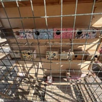 قفص للبيع حيل حلو  بيا24 بيت وبيا  سله تنسحب من جوه مال تنضيف سعر45الف...