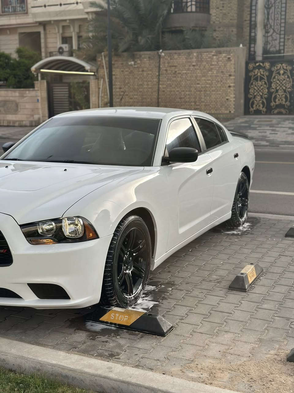 يالله

#ادوات_ادوات_ادوات 

جارجر 2014 

حاويه بدون كصه

جاهزه للاخير سياره ع وضع الشركه

مكينه ٣٦٠٠

كنديه السياره بدون حادث

كفاله من الكص والسرقه وعشائر

بيع فقط

السعر( $90 )

***********

العنوان البصره
