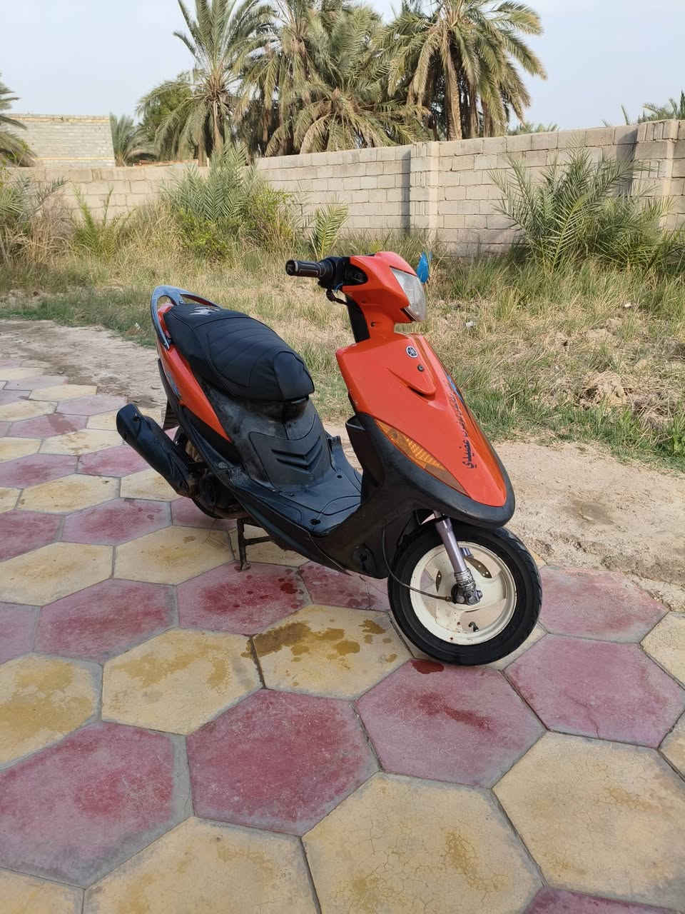 متاح للبيع 🖤


**إذا كنت صاحب هذا الإعلان وتريد حذفه لأي سبب، رجاءا أرسل رسالة إلى الدعم الفني**