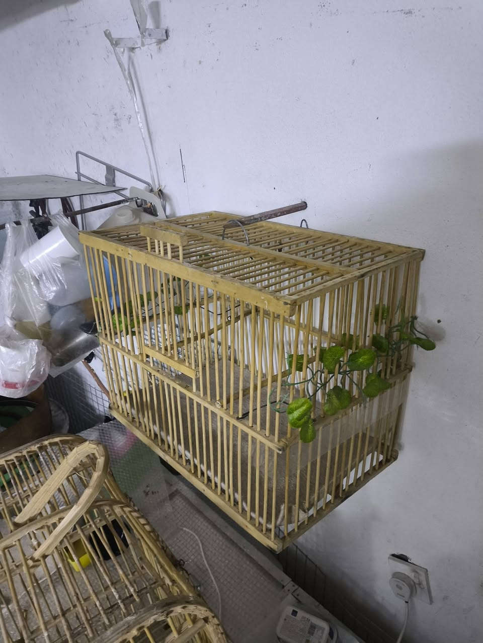 ئەم قەفەسە جوانە بۆ فرۆشتن 10هەزار***********
