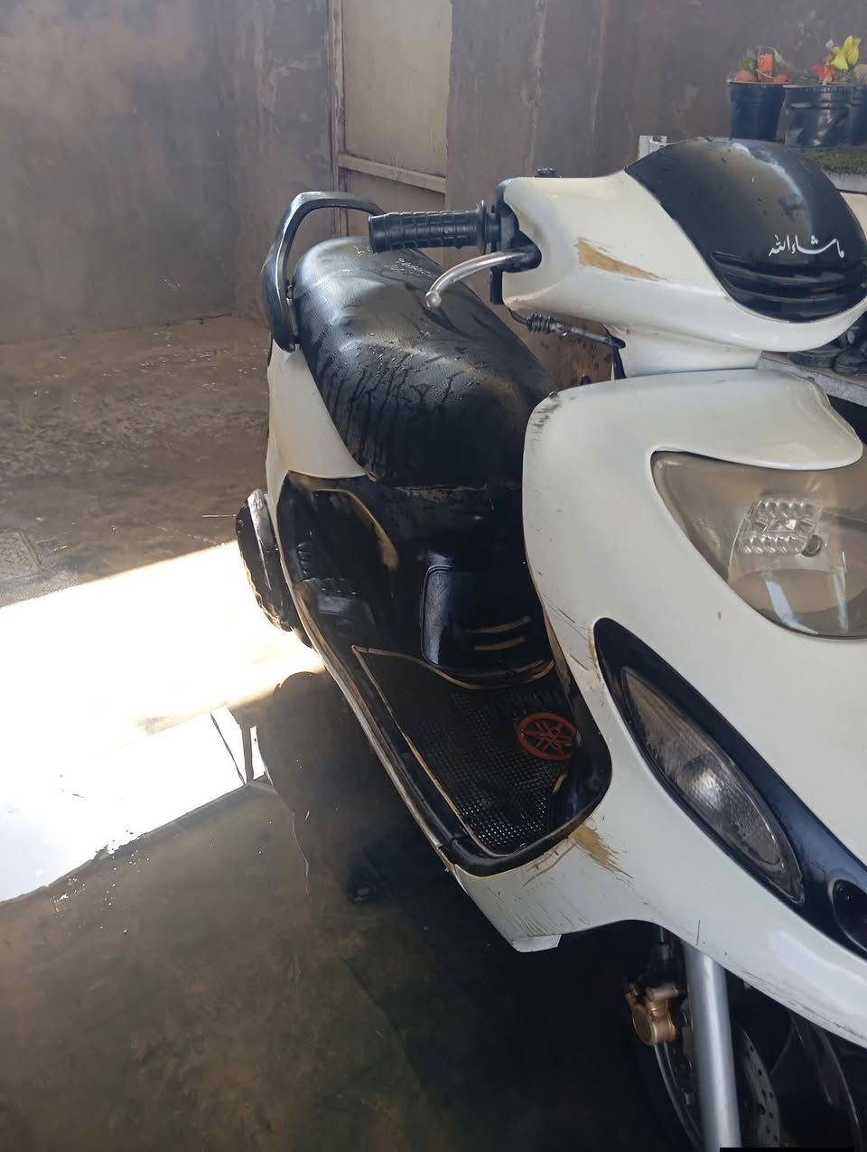 دراجه دوالفين
دراجه دوالفين البيع 
 السعر275بيها مجال  المكان بابل جبله  ***********/***********
