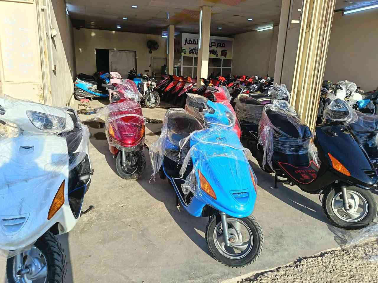 السلام عليكم
يعلن مجمع ذو الفقار لبيع الدراجات الناريه
عن توفر كميات من الدراجات الفراشه المكفوله مكينه وشاصي دراجات كلش حلوات وشرط النضافه وعل فحص

للاستفسار***********

#العنوان الديوانية قضاء الدغاره
