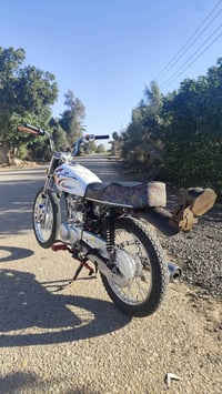 رابيدو • مكفولة • فلتر مبدّل