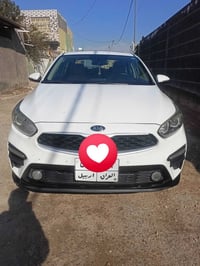 سيراتو فول • ٢٠١٩ • شامية