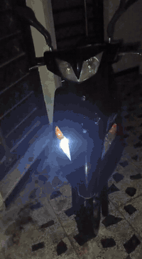 السلام وعليكم دراجه ثعلب للبيع دراجه مكفوله مابيها اي نقص مختمه دراجه جديده مال جناي كهربائيات كلها شغاله كابريتر سعر 575 وبيها مجال مكان بغداد شعله رقم *********** بي واتساب
