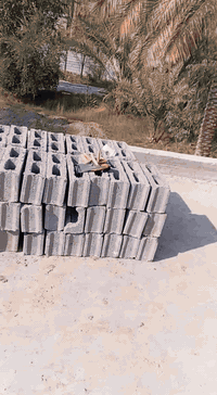 الد نيا ونج تصعيد الكافت المواد ***********//***********
