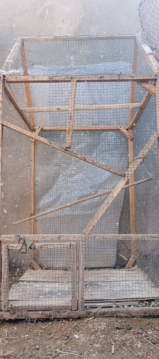 قفص للبيع
الطول 180
العرض 80×80
ب 30 وبي مجال 
***********
