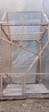 قفص للبيع الطول 180 العرض 80×80 ب 30 وبي مجال  07848369766