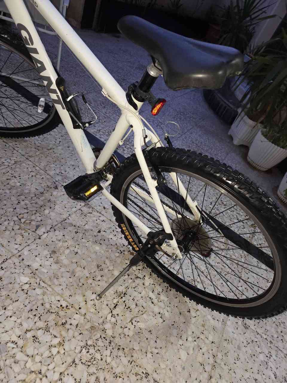 جينتا نضيف بل باكيت  السعر 200 وبي مجال


**إذا كنت صاحب هذا الإعلان وتريد حذفه لأي سبب، رجاءا أرسل رسالة إلى الدعم الفني**