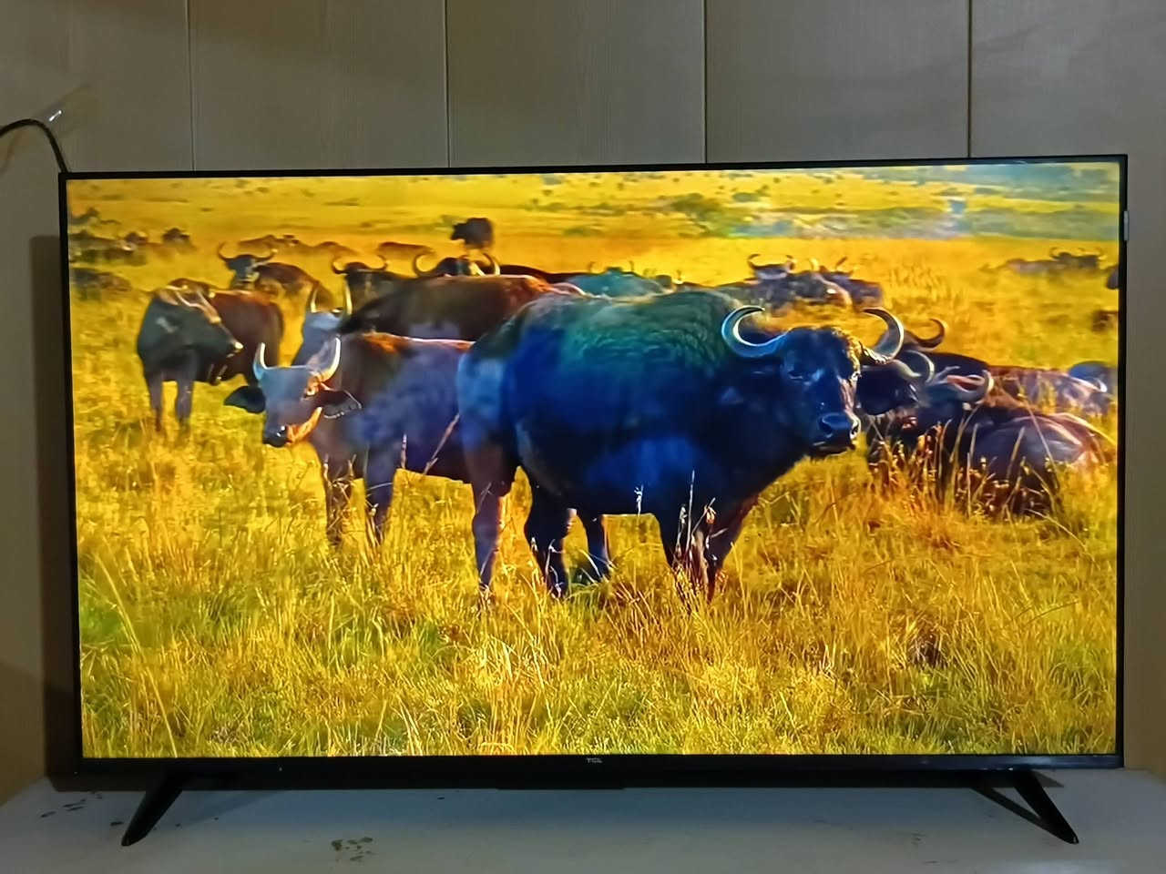 شاشه TCL  حجم 50 مستعمله شهرين فقط نظيفه جدآ وضمان بيها
السعر 350 الف 
مع برامج كرة قدم أفلام ومسلسلات كامله 
أتصال ***********
أو مراسله على خاص
