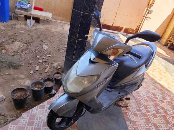 دراجه سكنس فحل كابريته للبيع مفرات نضافه 75% ومكاتبهعند بيع الدراجه للتواصل بس عل ارقام مامتواجد عل فيس  ***********
***********
