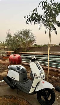 ماكس بوليس كابريتا • نضيفه • ديوانيه