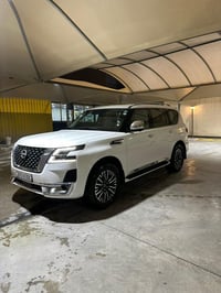 باترول بلاتينيوم • ٢٠٢٤ • ٥٠٠٠٠ كم