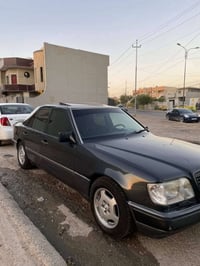 مراوس • حسب القناعة