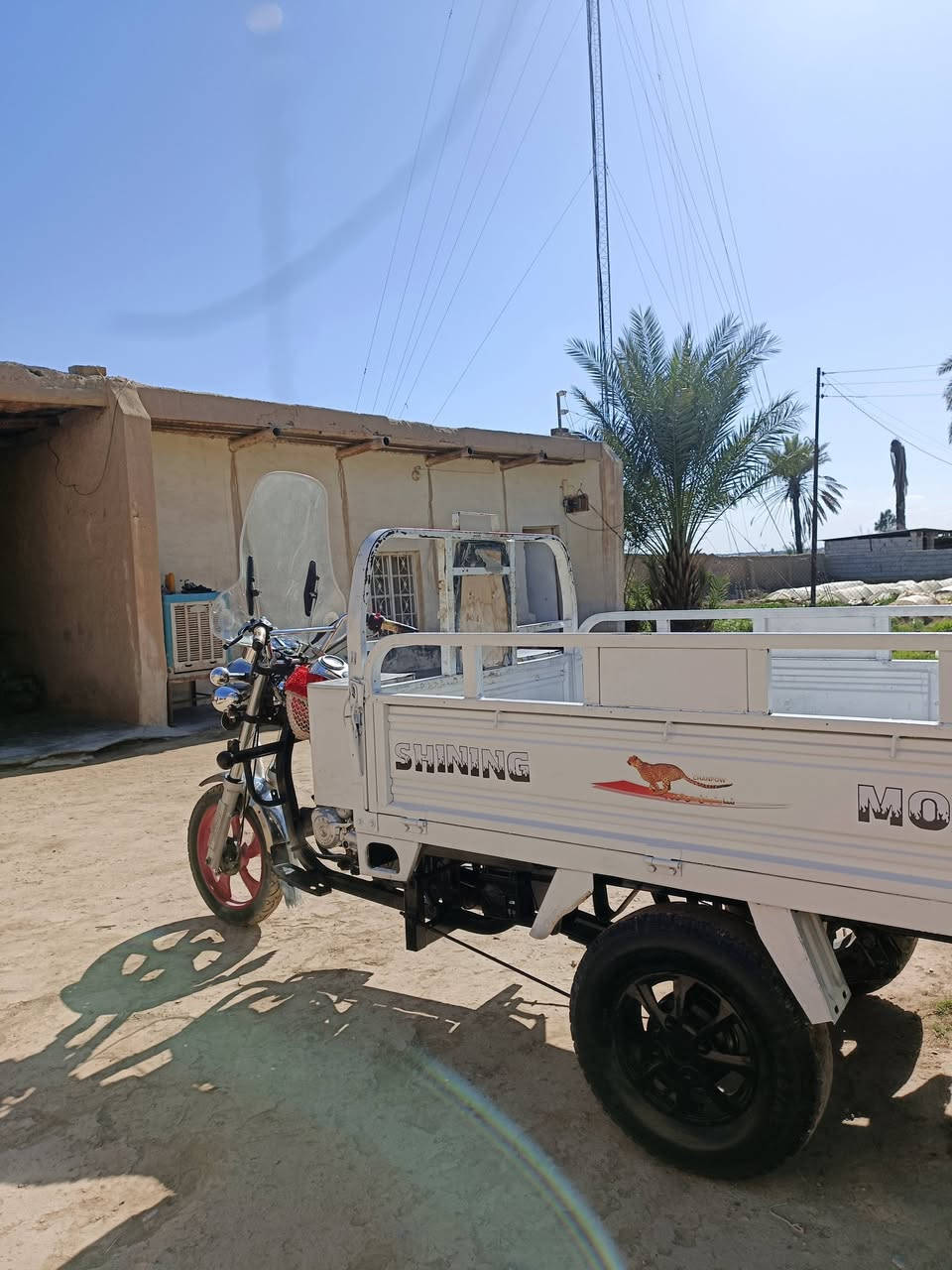 ستوتة فحل عالي  للبيع موديل 20 محرك 23 مكفولة من الحيم وال خياس كهربائيات شقالة ركبة شرط محجر كامل اوراق اصولي + بليتة  السعر 1400 وبيهة مجال المكان ديالئ / دلي عباس  ***********
