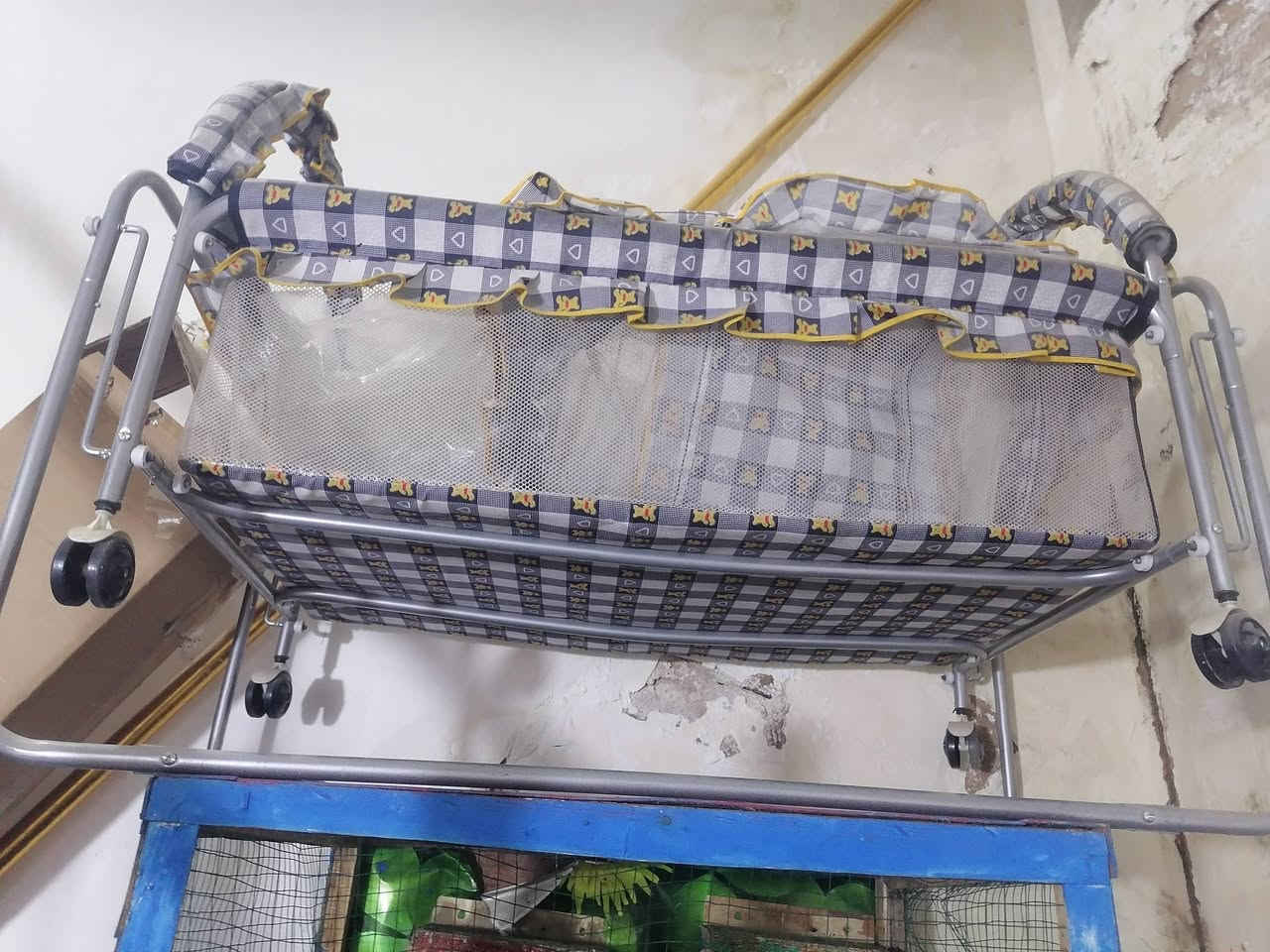 للبيع جربيه وكاروك هزاز بغداد مدينة الصدر


**إذا كنت صاحب هذا الإعلان وتريد حذفه لأي سبب، رجاءا أرسل رسالة إلى الدعم الفني**