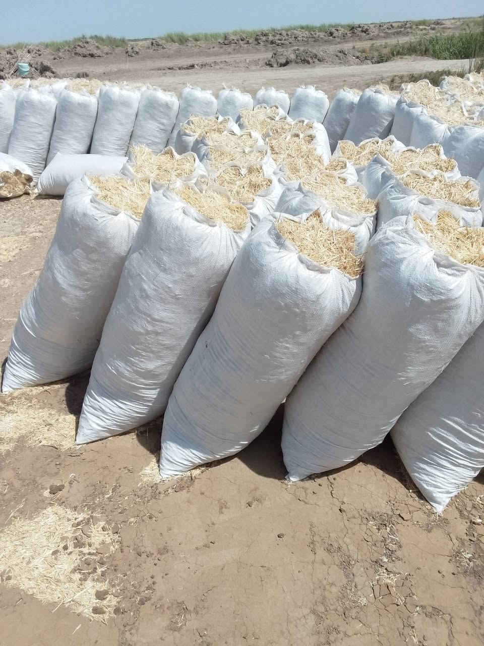 سلام عليكم تبي للبيع وشراي يتصل علا رغم توصيل مجاني لجميع المحافظات العراق تصال ***********
