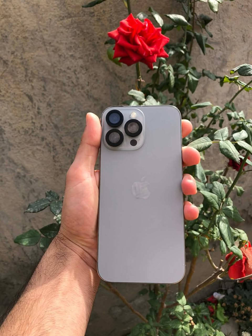 16 pro max
السعر 890
ايفوان 16برو ماكس
بعده داخل الضمان 
ذاكره ٢٥٦
جهاز نضيف لون تيتانيوم 
مبدل شاشه ٣ خيارات وبطاريه 100   (مشحون 13 مره )
الجهاز تجي تاخذه من باب البيت ون ما يعجبك افحص 
 مكاني بابل 
***********
