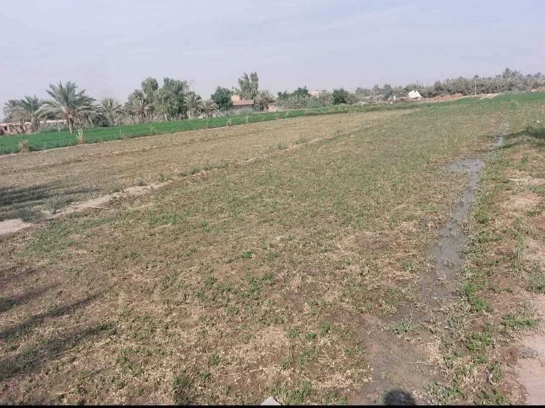 دوانم ثلاثه للبيع منطقة عكركوف النخيل قرب مجمع اسد بابل طابو زراعي سند 25 بأسمي على طابو ابو غريب الواجه ٦٠ × ١٢٥ الاستفسار اتصل ه‍ *********** / *********** غير متواجد على الفيس
