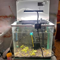 07742583720 بغداد, العراق