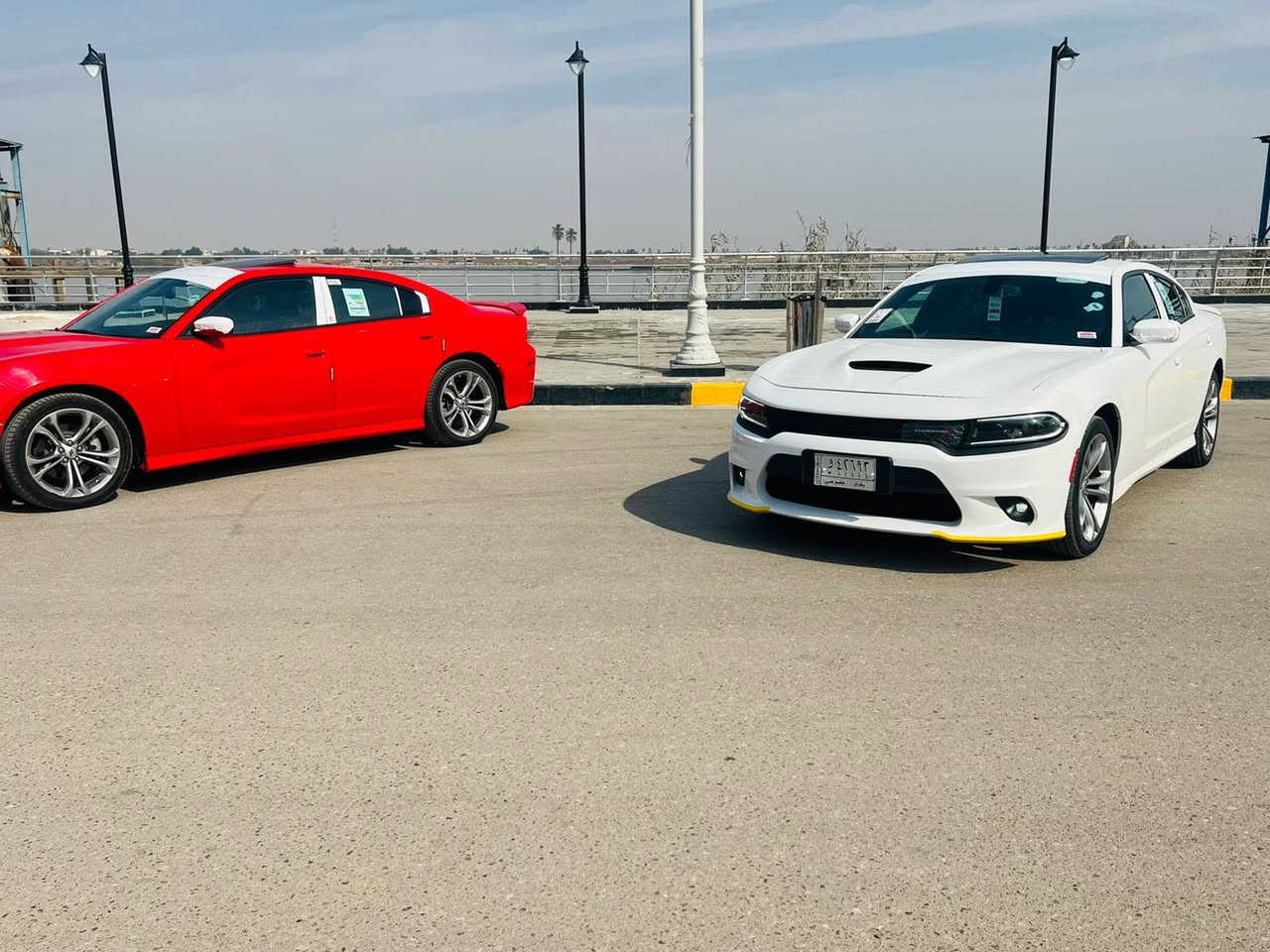 السلام عليكم جارجر جيتي بلاص 2022 كفاله جديده بالكارتون رقم بغداد تحوي ثاني يوم ماشيه 22 السعر 317 الشراي يتصل***********
