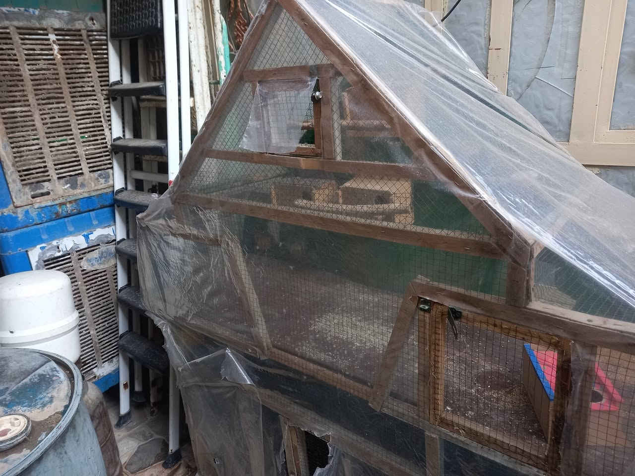 السلام عليكم
قفص بلابل للبيع كامل مكمل   بيوت مال افراخ فناجس وبلابل بي
السعر 50
***********
ادمن  وافق
