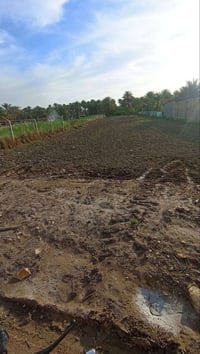 أرض زراعية • دونم ونص • سند ٢٥