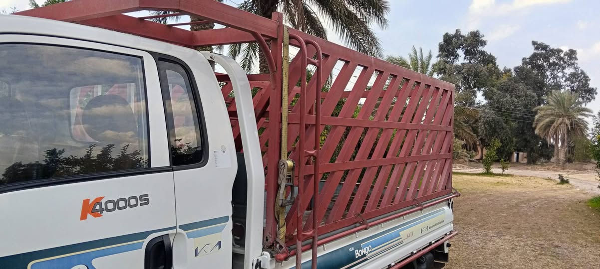 سلام عليكم محجر فحل مستعمل للبيع ارتفاع 110السعر 300وبي مجال الاستفسار ***********
