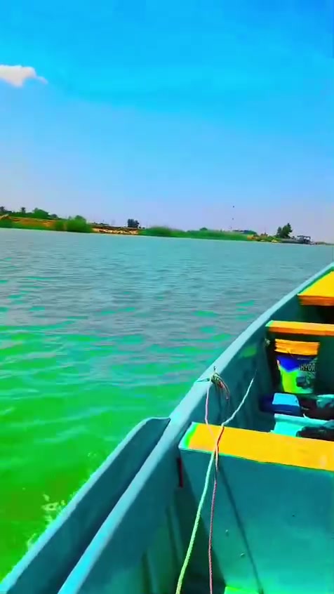 سلام عليكم جينكوه ١٣ونص تمكينه ١٨ تهاتسو كارتون صارلهه شهر مشتقله الحلال ما متعوب الجينكوه وشار جديد ومشايه مكاني السيبه سيحان مكلف بل نشر رقم صاحب الحلال***********
