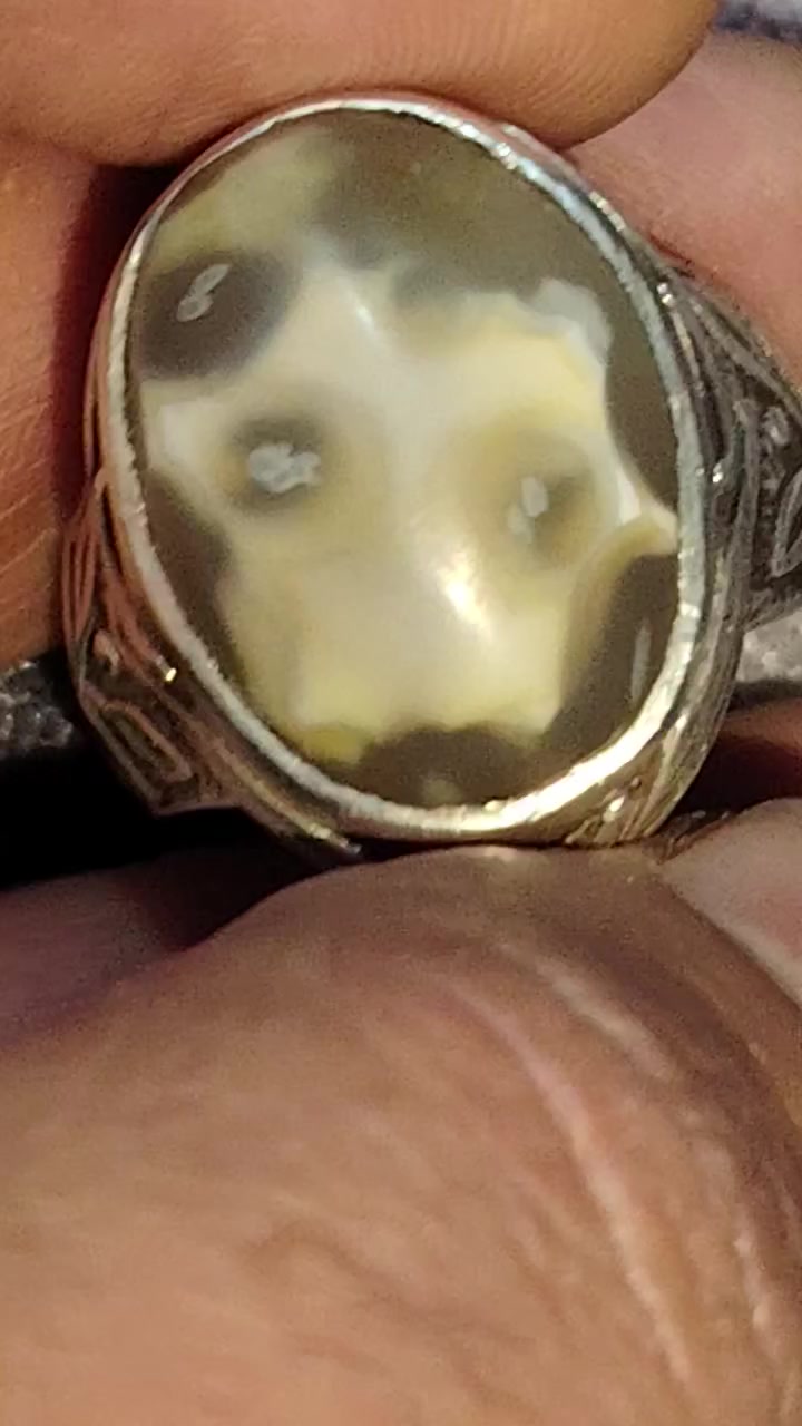 سليماني خرزه كامله اصليه   مصوره  السعر خاص


**إذا كنت صاحب هذا الإعلان وتريد حذفه لأي سبب، رجاءا أرسل رسالة إلى الدعم الفني**