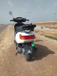 سبيسي • ياباني • مفتوحه