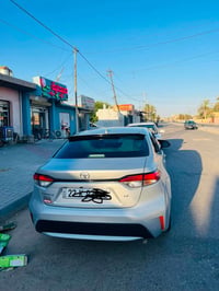 كورلا • ٢٠٢٢ • رقم اربيل