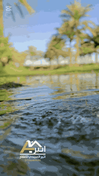 ✅ اعلان رقم ( 126 )
السلام عليكم دونم مربع طابو زراعي سند 25 تحويل مباشر 
بستان مثمر  كافة الخدمات متوفره يصلح شاليه مزرعه دار استراحه الموقع بغداد الراشدية قرب مركز الناحية للأستفسار اكثر اتصل ***********
