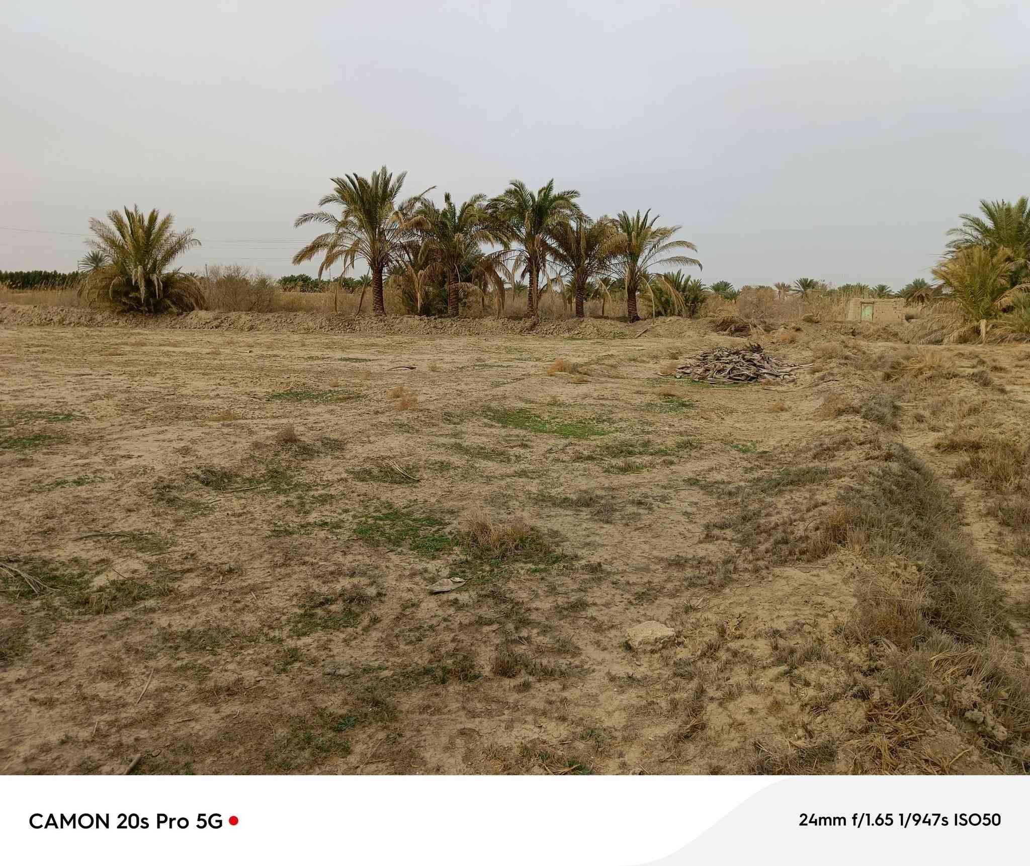 دونمين بسعر مناسب شاطي على النهر منطقة الامام المهدي بعد الجسر تفاصيل السعر عل خاص


**إذا كنت صاحب هذا الإعلان وتريد حذفه لأي سبب، رجاءا أرسل رسالة إلى الدعم الفني**