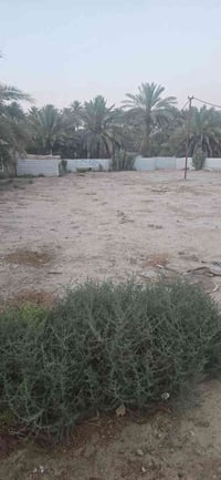 الكاظمية البو عبود • ٥٠٠م • طابو سند ٢٥