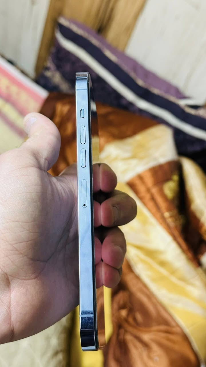 ايفون 13 برو ماكس
 
اللون بحري 
ذاكرة 256
البطارية 76 اصلية
فقط مبدل شاشة
ويطلع خيار الكامره بالتحديث
الجهاز نضيف
وسعره 460 
مكاني الشعب
***********
