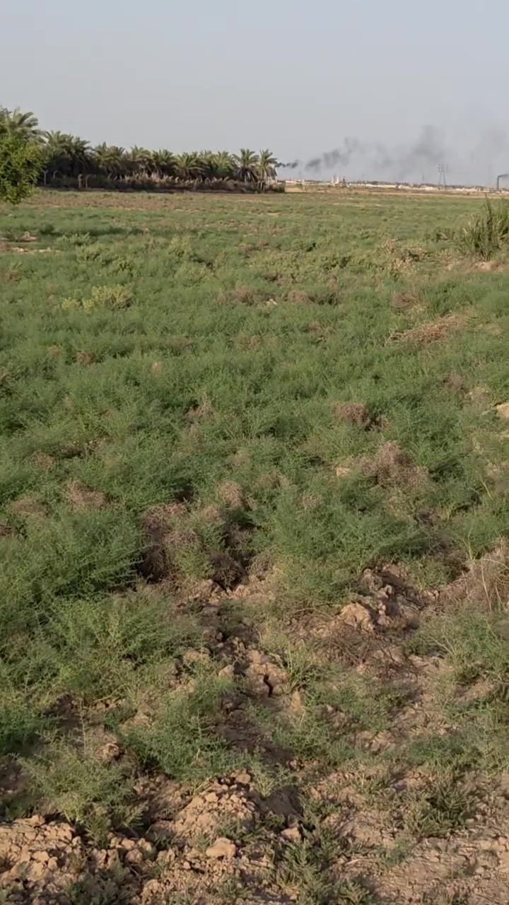 ارض للبيع المساحه ٣٠ دونم طابو ٢٥ مع ارض ٧٠ دونم عقد ١١٧ العنوان نهايه سده دور لنفط قرب السيطره الاستفسار الاتصال على صاحب الارض ***********
