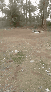 سلام وعليكم يعلن مكتب ام القرى عرض 1000متر جميع الخدمات العنوان الراشد...