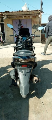 سكنس سترونك • مكفوله • بلقاسم