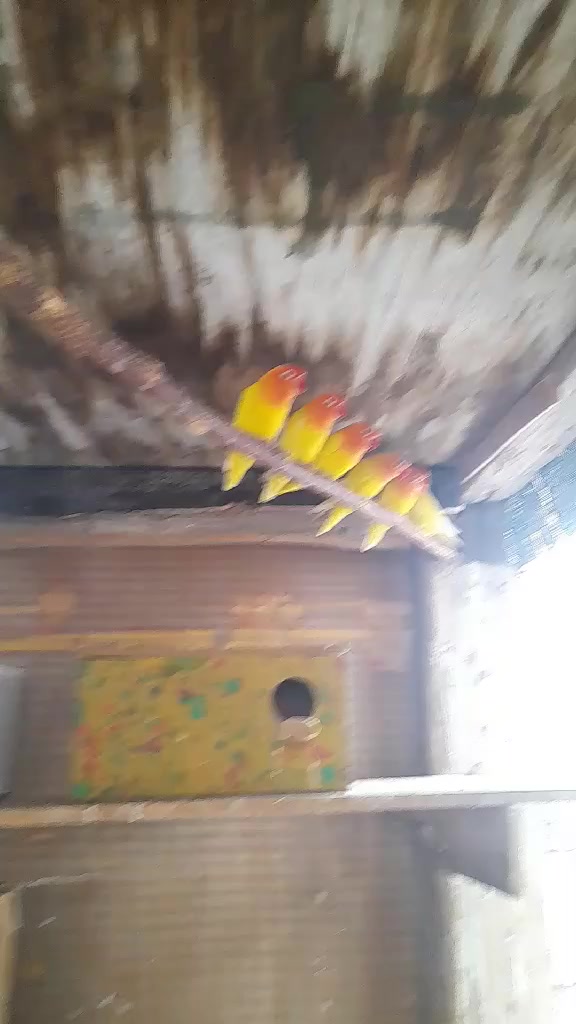 #عاجل_
#عاجل
غندور امايات ابيض واصفر والابيض بالتعليقات موجود الڤديو مالهن

الابيض 8 ازواج
والاصفر 5 ازواج
للبيع شلع السعر الزوج 55 الف المكان فلوجة


**إذا كنت صاحب هذا الإعلان وتريد حذفه لأي سبب، رجاءا أرسل رسالة إلى الدعم الفني**